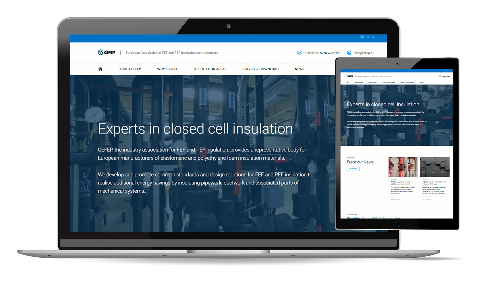CEFEP - Website preview